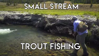 Small Stream Trout Fishing