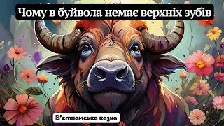 Чому в буйвола немає верхніх зубів (в'єтнамська казка) 🐃🐂🐴