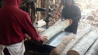 UTAMAKAN 10X10 POTONG KAYU HASIL MELIMPAH....