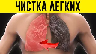 Мощнейшая Очистка Лёгких Дома + Напиток, Выводящий Токсины из Легких!