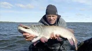 Jeremy Wade Dreams of Canadian Muskie Catches