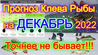 Календарь рыбака на декабрь Прогноз клева рыбы Лунный Календарь рыбака 2022 Fish bite forecast