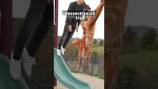 How different animals go down a slide. 😂 Part 1