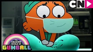 Gumball Türkçe | Hain | Çizgi film | Cartoon Network Türkiye