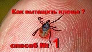 Как извлечь и вытащить клеща в домашних условия - способ № 1