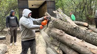 🌳STIHL як завжди 👍👍👍