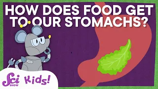 How Does Food Get to Our Stomachs and More Answers to Your Questions! | SciShow Kids