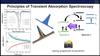 Principles of Transient Absorption Spectroscopy - Part 1