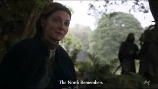 ♪ Game of Thrones - The North Remembers