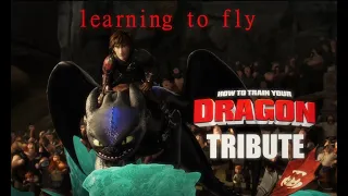 HTTYD Tribute | Learning to fly