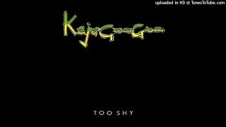 Kajagoogoo - Too Shy [1983] (magnums extended mix)