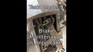 Tesla Model 3 Important Brake Maintenance | Seized Brembo Caliper Pins