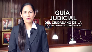 SISTEMA DE BÙSQUEDA DE EXPEDIENTE JUDICIALES   CSJHA