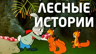 "Лесная история" Советский мультфильм.