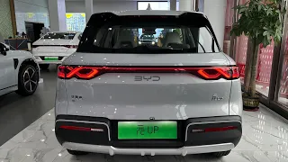 2024 BYD Yuna UP  - New Interior and Exterior