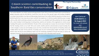 Conservation Conversations: Southern Bald Ibis - Carina Pienaar (16Aug22)