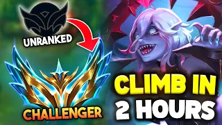 How to ACTUALLY Climb to Challenger in 2 Hours with Briar Jungle Season 14