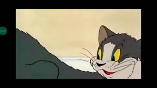 evolução do tom e Jerry 1940 2005 2021