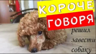 КОРОЧЕ ГОВОРЯ, РЕШИЛ ЗАВЕСТИ СОБАКУ #ROOMFACTORYBATTLE