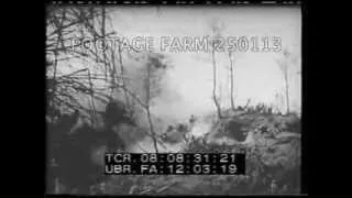 1945 Airforce- Palau, Mexico, Japan 250113-01 | Footage Farm