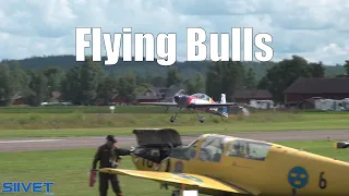 Red Bull Flying Bulls Aerobatics Team Arrival Friday - Flygfesten 2022