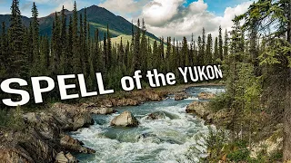 11 Days Solo Camping in the Yukon Wilderness - the Trailer