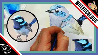 How to Paint Feathers - 5 EASY TIPS & TECHNIQUES (Watercolor Birds)