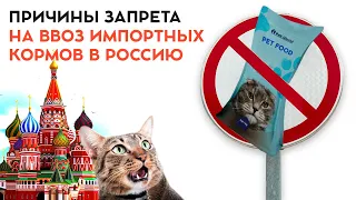 Зарубежные корма для кошек и собак запретили ввозить в Россию. Основные причины.