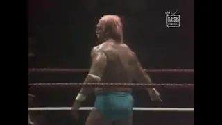 Hulk Hogan Vs  Dr  D David Shultz