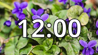 12 Minutes Timer with Music | Spring Timer