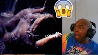 THE OCEAN IS WAY DEEPER THAN YOU THINK #5 (Only Watch If Your Scared Of Huge Underwater Monsters!!)