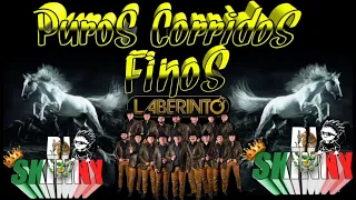 puros corridos finos ✴GRUPO LABERINTO✴