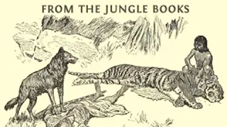 Mowgli: All of the Mowgli Stories from the Jungle Books by Rudyard KIPLING Part 2/2 | Audio Book