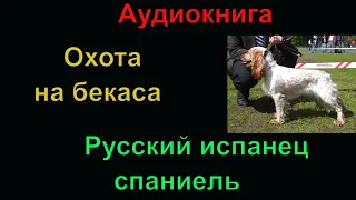 "Русский испанец — спаниель" Агеносов Г.Г  "Охота со спаниелем на бекаса"