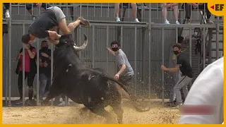 11 MOMENTOS DE TENSÃO NA CORRIDA DE TOUROS