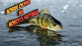 ловля спортивного окуня на черта