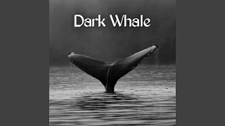 Dark Whale