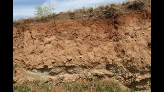 Каштановые почвы