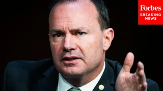 'Ought To Pass Unanimously': Mike Lee Advocates For Bill To Stop Non-Citizens From Voting