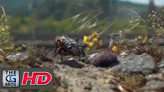 CGI VFX Spot : "Fred The Field Cricket" - by Mikros Image