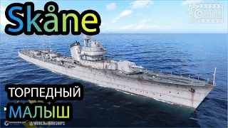 Эсминец Skåne-Торпедный малыш!🚢 Обзор📺 +перки командира и модернизации!🔥