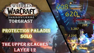 TORGHAST Layer 12 - The Upper Reaches Walkthrough Guide - Prot Paladin POV Solo - WOW Shadowlands
