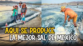 Así se obtiene la sal de forma artesanal en Cuyutlán, Colima | #mexico