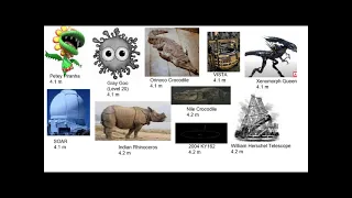 Everything Size Comparison Cooperation Universe Part 38