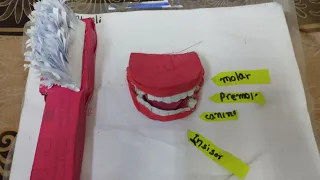 How to make a 3d toothbrush