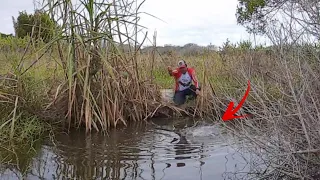 ONDE HÁ PEIXE ATÉ NO FRIO CONSEGUE PEGAR ELES.