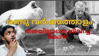 This Chicken Lived For Two Years Without a Head In Malayalam | fact by Abhishek