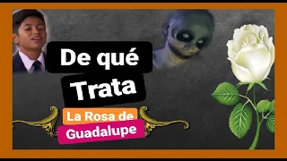 Critica a la Rosa de Guadalupe | De qué trata la Rosa de Guadalupe | series de televisa