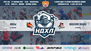 Лисы - Moscow Bears | СК "Арктика"