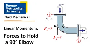 Solved Problem: Linear Momentum Quiz